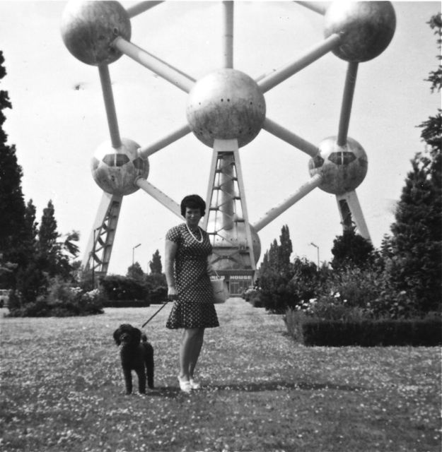 De vereniging 'tegen de bouw van psychologisch traumatische bouwsels voor dieren' heeft de duimen moeten leggen.
